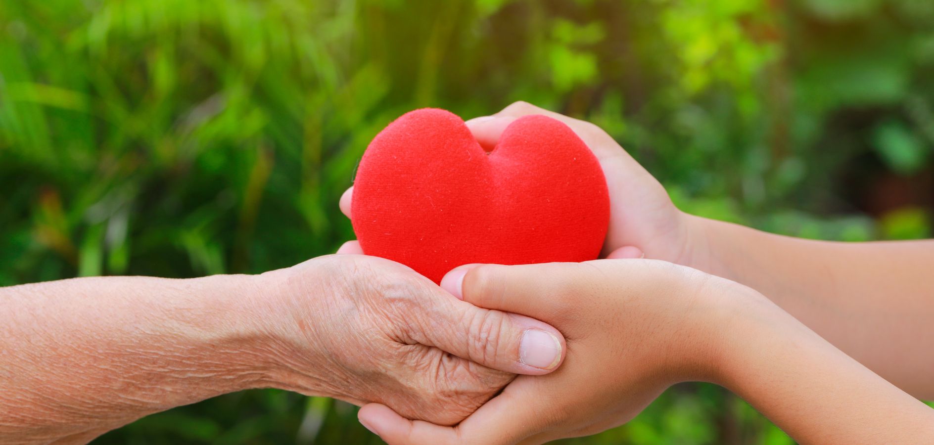 CREA ERP evoluciona l’eina de Donacions per donar més control i visibilitat a les entitats