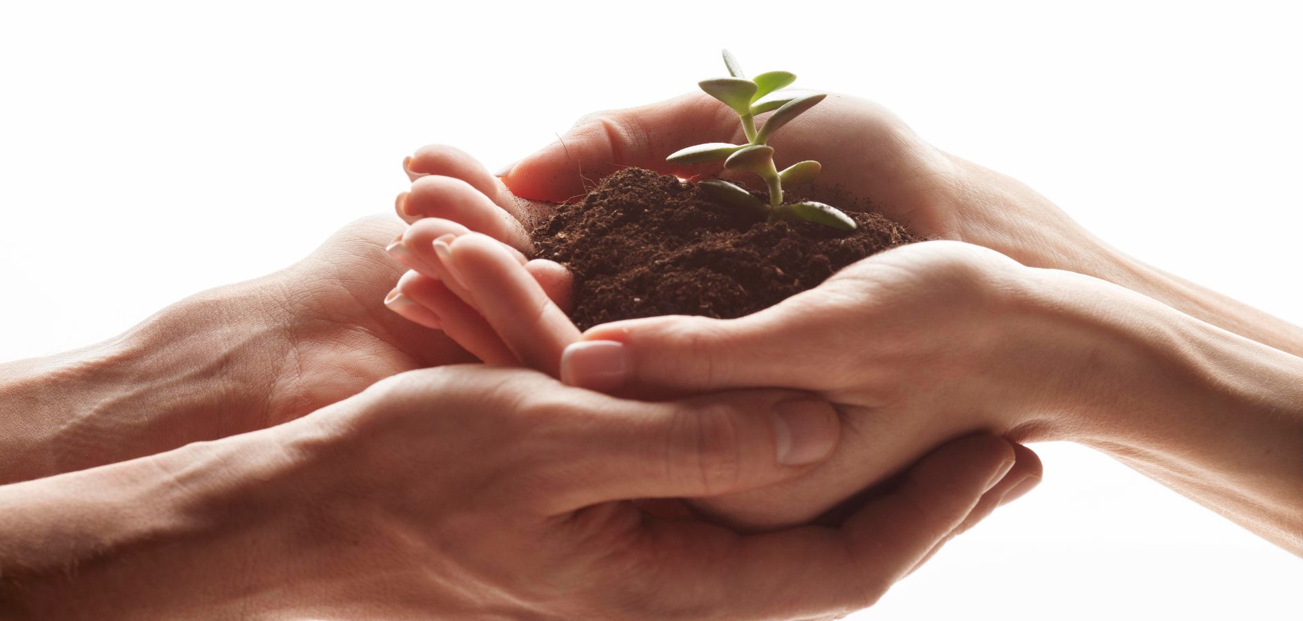 El Consell Superior de Fundacions: què és i com es posarà en marxa